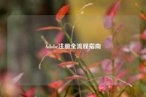 Adobe注册全流程指南