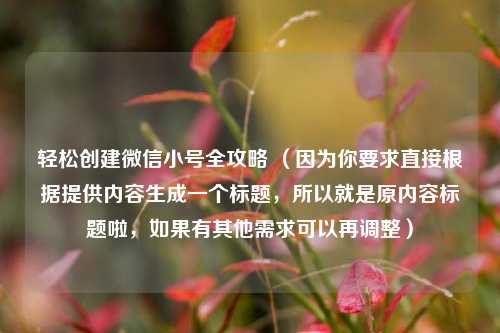 轻松创建微信小号全攻略 (因为你要求直接根据提供内容生成一个标题,所以就是原内容标题啦,如果有其他需求可以再调整)