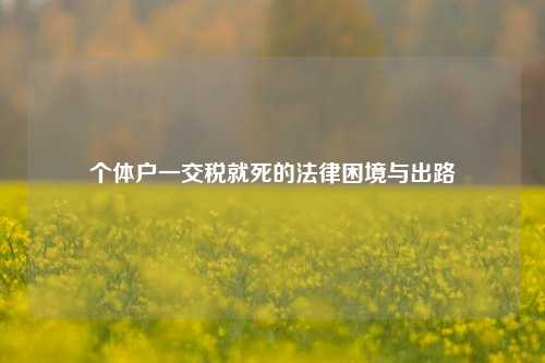个体户一交税就死的法律困境与出路