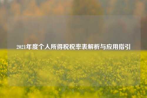 2021年度个人所得税税率表解析与应用指引