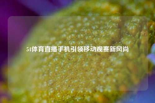 54体育直播手机引领移动观赛新风尚