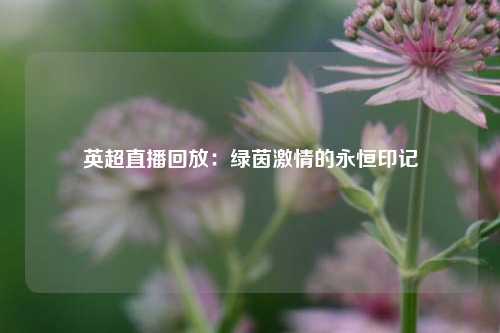 英超直播回放：绿茵激情的永恒印记