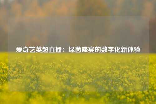 爱奇艺英超直播：绿茵盛宴的数字化新体验