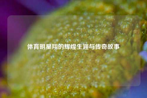 体育明星翔的辉煌生涯与传奇故事