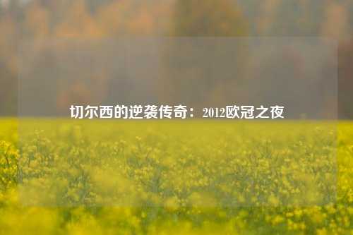 切尔西的逆袭传奇：2012欧冠之夜