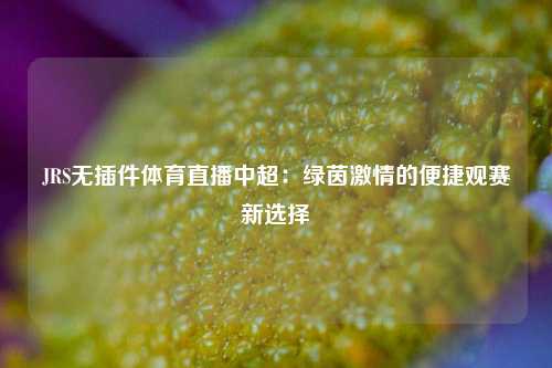 JRS无插件体育直播中超：绿茵激情的便捷观赛新选择