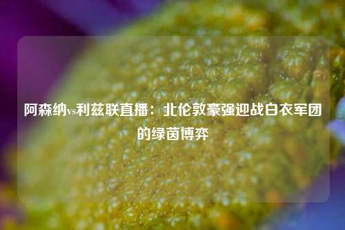 阿森纳vs利兹联直播：北伦敦豪强迎战白衣军团的绿茵博弈