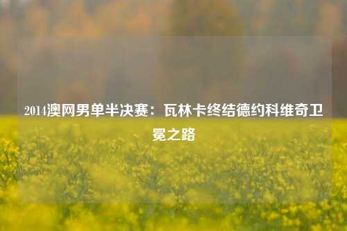 2014澳网男单半决赛：瓦林卡终结德约科维奇卫冕之路