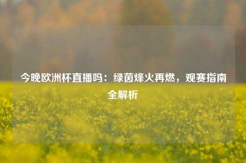 今晚欧洲杯直播吗：绿茵烽火再燃，观赛指南全解析