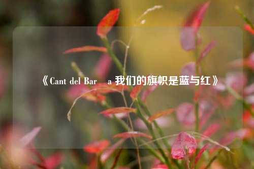 《Cant del Barça 我们的旗帜是蓝与红》
