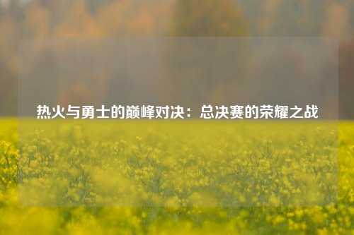 热火与勇士的巅峰对决：总决赛的荣耀之战
