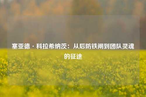塞亚德·科拉希纳茨：从后防铁闸到团队灵魂的征途