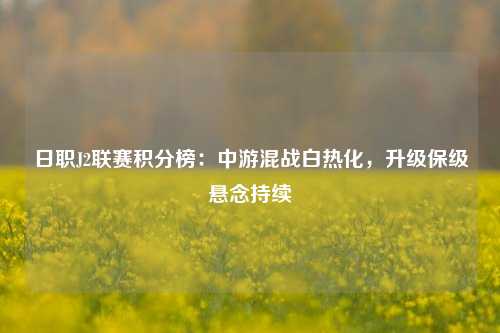 日职J2联赛积分榜：中游混战白热化，升级保级悬念持续