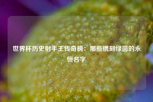 世界杯历史射手王传奇榜：那些镌刻绿茵的永恒名字