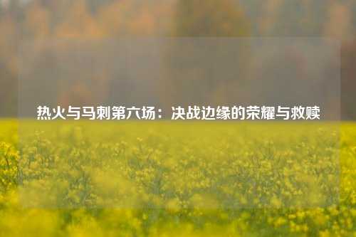 热火与马刺第六场：决战边缘的荣耀与救赎