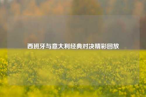 西班牙与意大利经典对决精彩回放