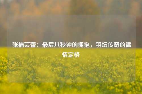  张楠芸蕾：最后八秒钟的拥抱，羽坛传奇的温情定格