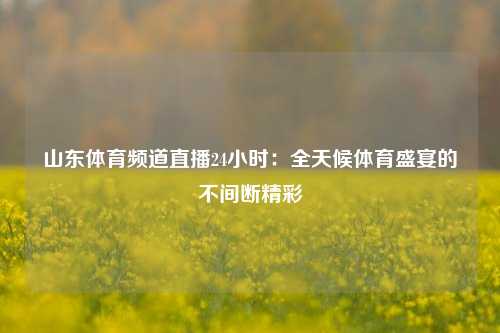 山东体育频道直播24小时：全天候体育盛宴的不间断精彩