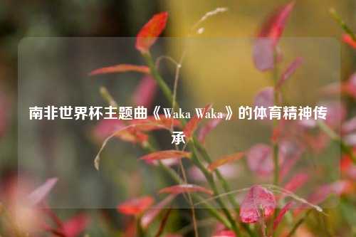 南非世界杯主题曲《Waka Waka》的体育精神传承