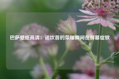 巴萨壁纸高清：诺坎普的荣耀瞬间在屏幕绽放
