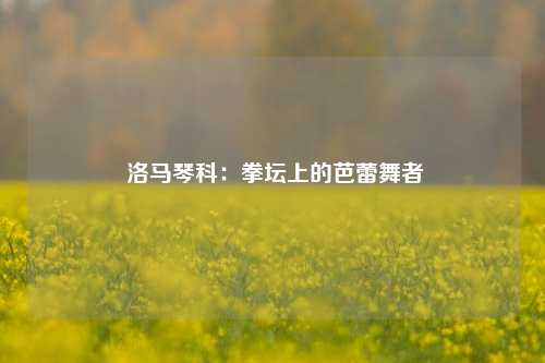  洛马琴科：拳坛上的芭蕾舞者
