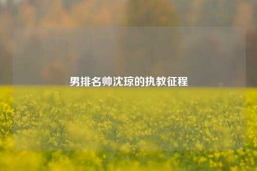 男排名帅沈琼的执教征程