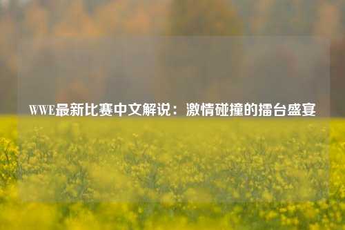 WWE最新比赛中文解说：激情碰撞的擂台盛宴