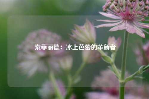  索菲丽德：冰上芭蕾的革新者