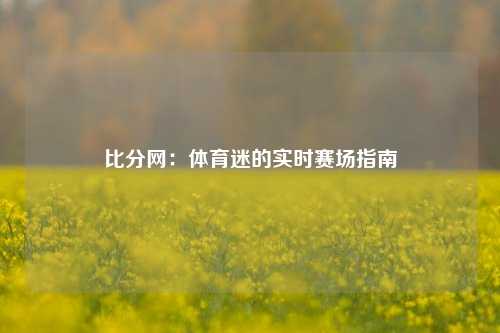 比分网：体育迷的实时赛场指南