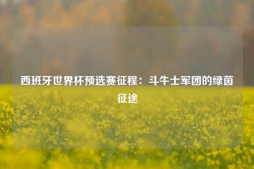 西班牙世界杯预选赛征程：斗牛士军团的绿茵征途