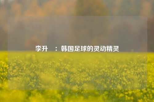 李升祐：韩国足球的灵动精灵