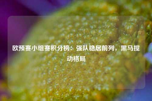 欧预赛小组赛积分榜：强队稳居前列，黑马搅动格局