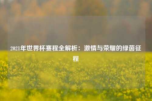 2021年世界杯赛程全解析：激情与荣耀的绿茵征程