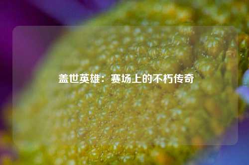  盖世英雄：赛场上的不朽传奇