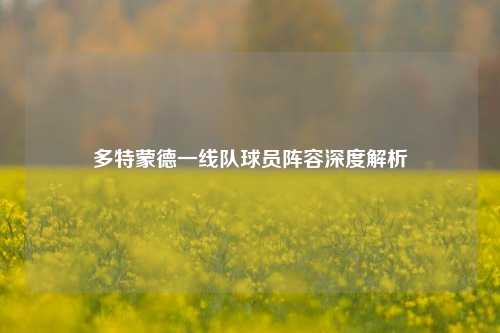 多特蒙德一线队球员阵容深度解析