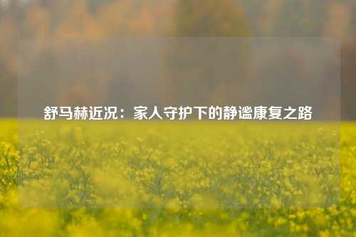 舒马赫近况：家人守护下的静谧康复之路