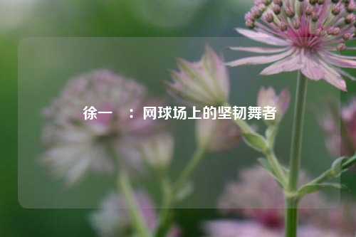  徐一璠：网球场上的坚韧舞者