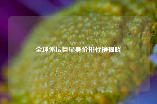 全球体坛巨星身价排行榜揭晓