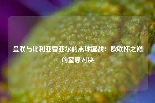 曼联与比利亚雷亚尔的点球鏖战：欧联杯之巅的窒息对决