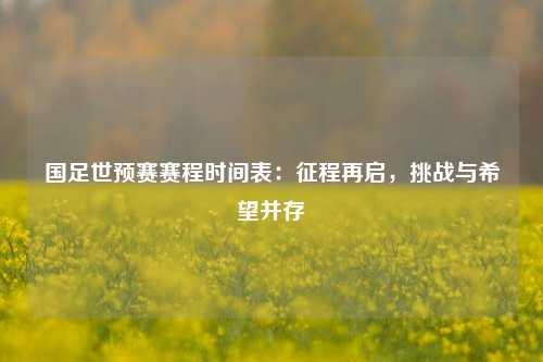 国足世预赛赛程时间表：征程再启，挑战与希望并存