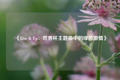 《Live It Up：世界杯主题曲中的绿茵激情》