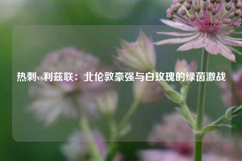 热刺vs利兹联：北伦敦豪强与白玫瑰的绿茵激战