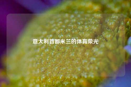 意大利首都米兰的体育荣光