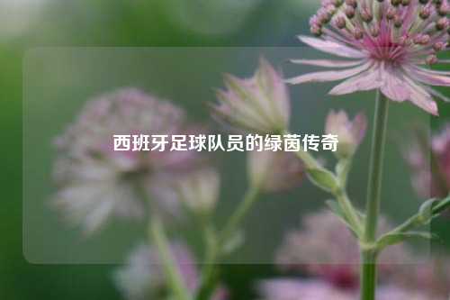 西班牙足球队员的绿茵传奇