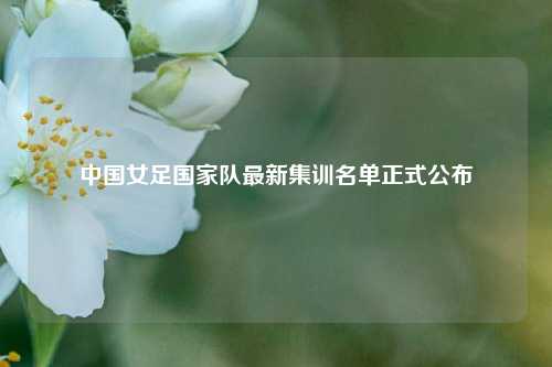 中国女足国家队最新集训名单正式公布