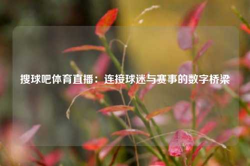 搜球吧体育直播：连接球迷与赛事的数字桥梁