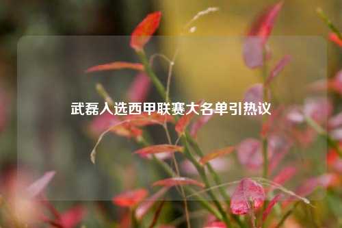 武磊入选西甲联赛大名单引热议