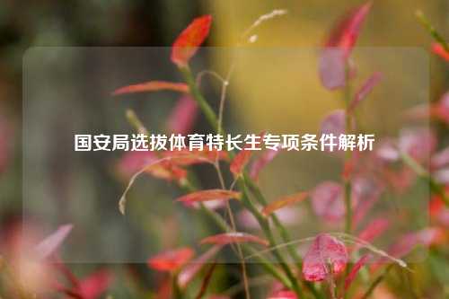 国安局选拔体育特长生专项条件解析