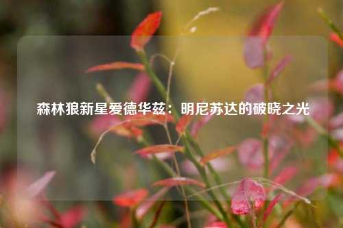  森林狼新星爱德华兹：明尼苏达的破晓之光