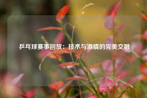  乒乓球赛事回放：技术与激情的完美交融